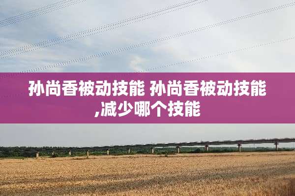 孙尚香被动技能 孙尚香被动技能,减少哪个技能