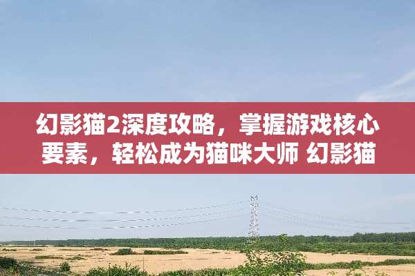 幻影猫2深度攻略，掌握游戏核心要素，轻松成为猫咪大师 幻影猫2攻略