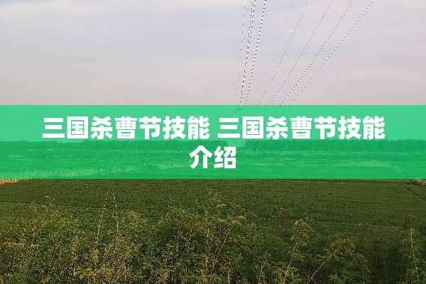 三国杀曹节技能 三国杀曹节技能介绍