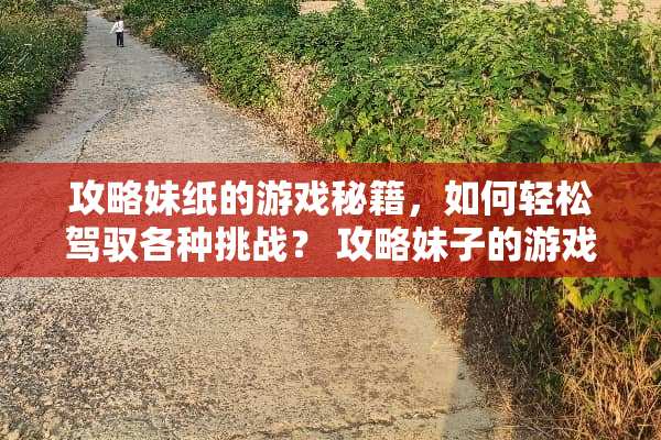 攻略妹纸的游戏秘籍，如何轻松驾驭各种挑战？ 攻略妹子的游戏