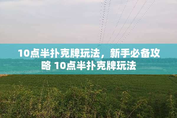 10点半**牌玩法，新手必备攻略 10点半**牌玩法