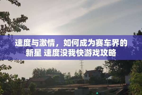 速度与**，如何成为赛车界的新星 速度没我快游戏攻略