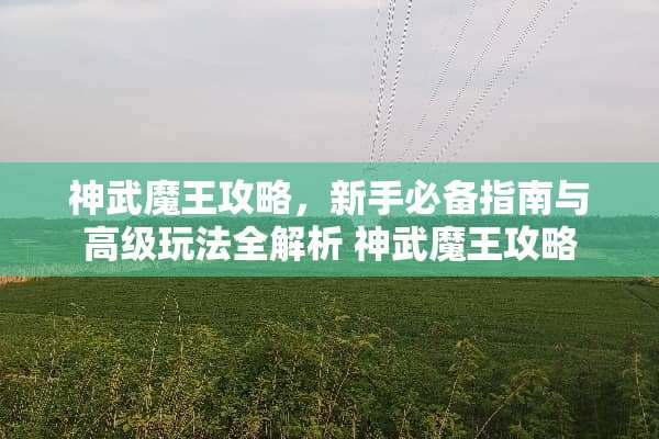 神武魔王攻略，新手必备指南与高级玩法全解析 神武魔王攻略