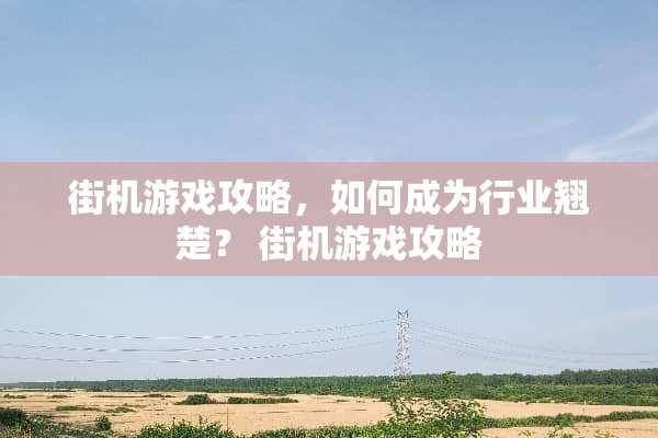 街机游戏攻略，如何成为行业翘楚？ 街机游戏攻略