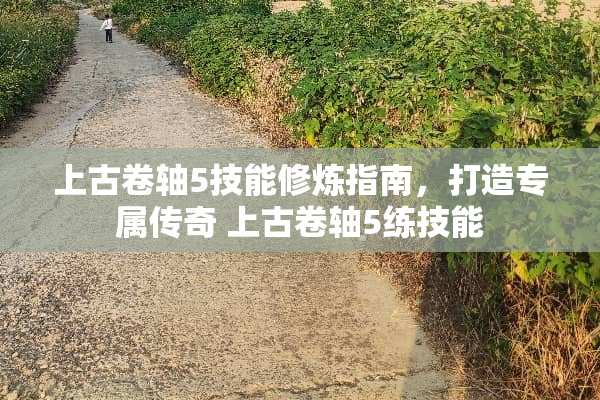 上古卷轴5技能**指南，打造专属传奇 上古卷轴5练技能