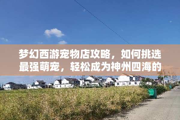 梦幻西游宠物店攻略，如何挑选最强萌宠，轻松成为神州四海的宠物大师？ 梦幻西游宠物店攻略