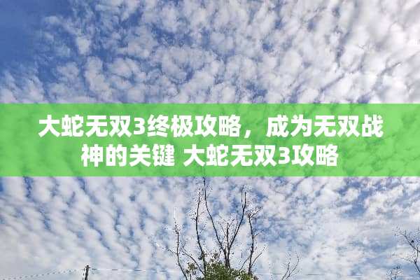 大蛇无双3终极攻略，成为无双战神的关键 大蛇无双3攻略