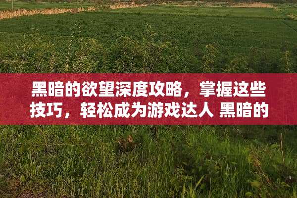 黑暗的**深度攻略，掌握这些技巧，轻松成为游戏达人 黑暗的**攻略