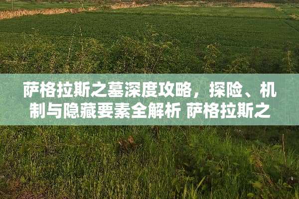 萨格拉斯之墓深度攻略，探险、机制与隐藏要素全解析 萨格拉斯之墓攻略