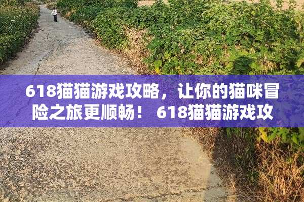 618猫猫游戏攻略，让你的猫咪冒险之旅更顺畅！ 618猫猫游戏攻略