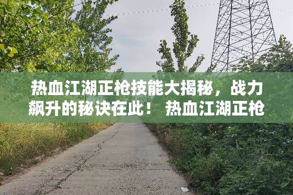 热血江湖正*技能大揭秘，战力飙升的秘诀在此！ 热血江湖正*技能展示