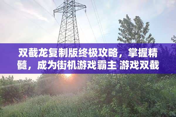 双截龙复制版终极攻略，掌握精髓，成为街机游戏霸主 游戏双截龙复制版攻略