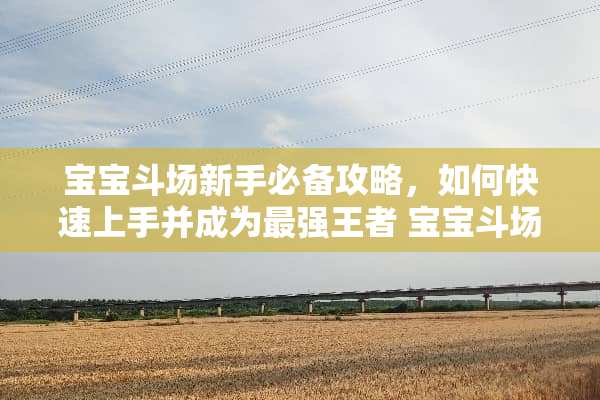宝宝斗场新手必备攻略，如何快速上手并成为最强王者 宝宝斗场攻略