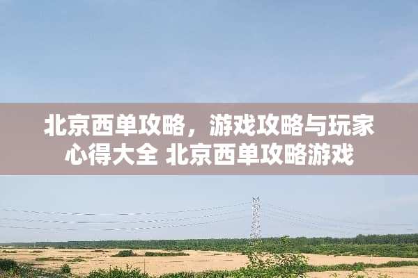 北京西单攻略，游戏攻略与玩家心得大全 北京西单攻略游戏