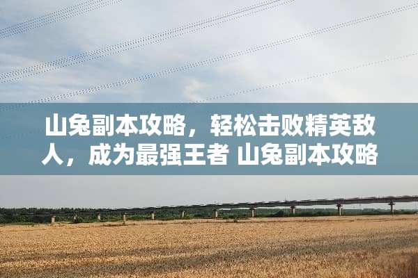 山兔副本攻略，轻松击败精英敌人，成为最强王者 山兔副本攻略