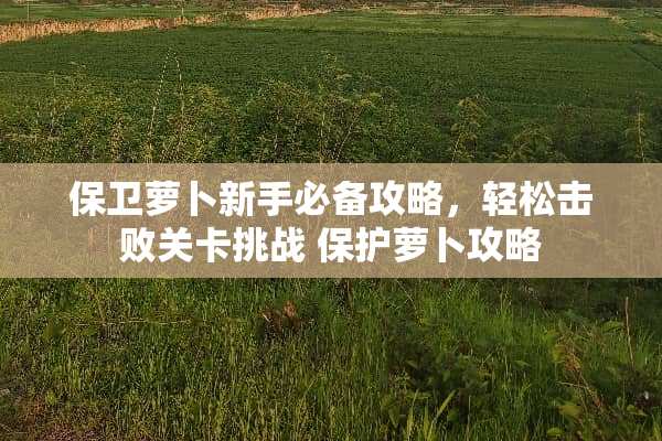 保卫萝卜新手必备攻略，轻松击败关卡挑战 保护萝卜攻略