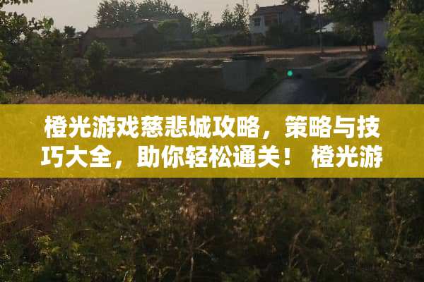 橙光游戏慈悲城攻略，策略与技巧大全，助你轻松通关！ 橙光游戏慈悲城攻略