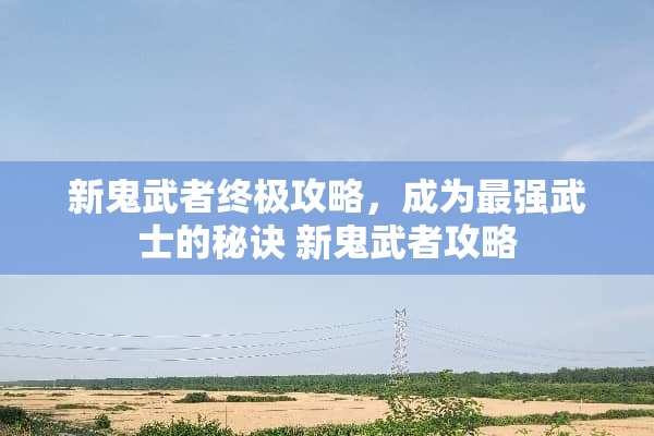 新鬼武者终极攻略，成为最强武士的秘诀 新鬼武者攻略