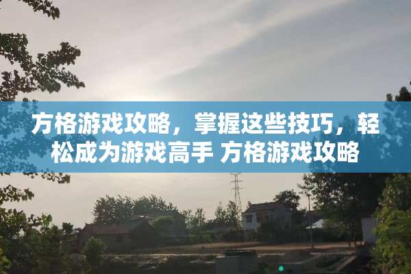 方格游戏攻略，掌握这些技巧，轻松成为游戏高手 方格游戏攻略