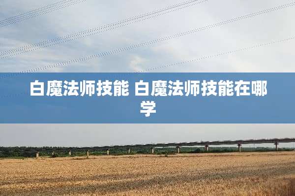 白魔法师技能 白魔法师技能在哪学
