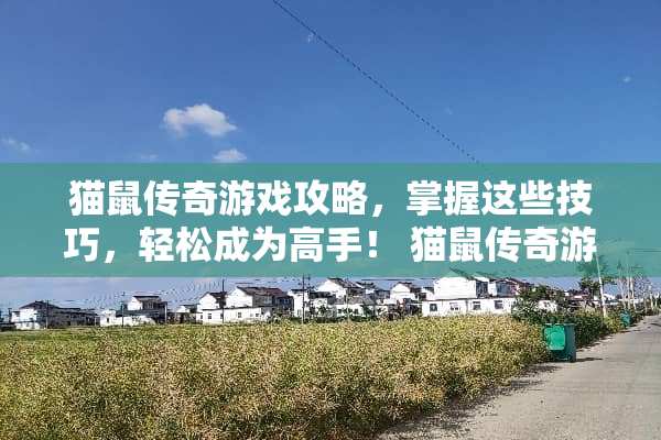 猫鼠传奇游戏攻略，掌握这些技巧，轻松成为高手！ 猫鼠传奇游戏攻略