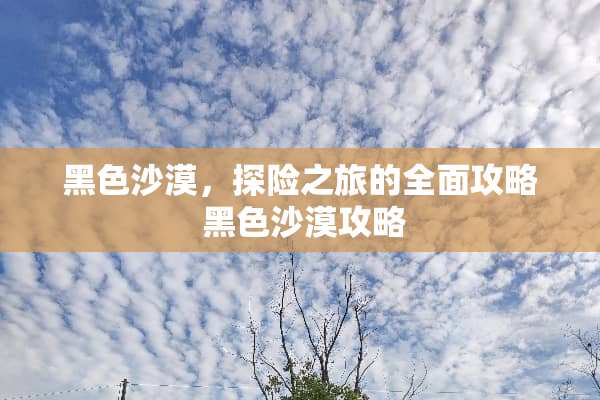 黑色沙漠，探险之旅的全面攻略 黑色沙漠攻略
