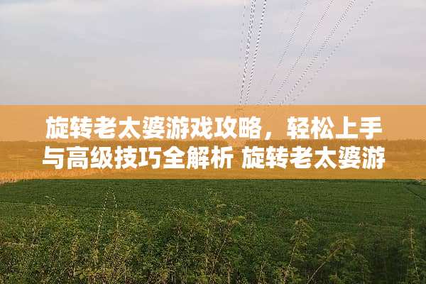 旋转老太婆游戏攻略，轻松上手与高级技巧全解析 旋转老太婆游戏攻略