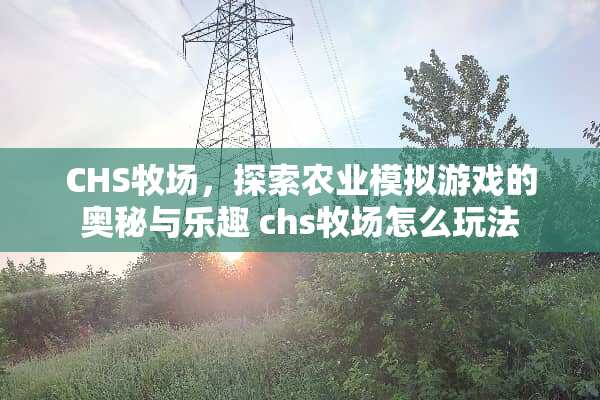 CHS牧场，探索农业模拟游戏的奥秘与乐趣 chs牧场怎么玩法