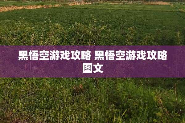 黑悟空游戏攻略 黑悟空游戏攻略图文