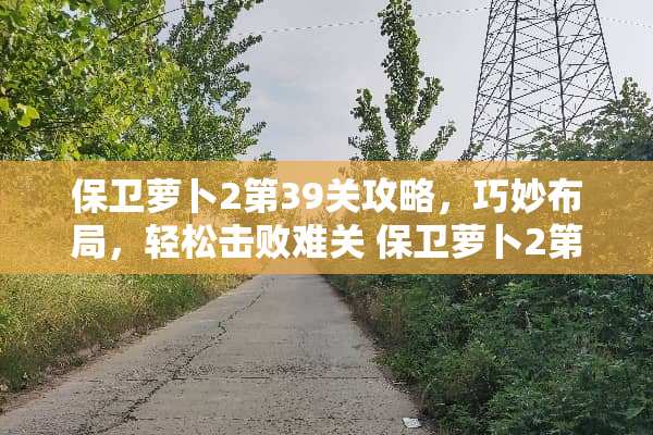保卫萝卜2第39关攻略，巧妙布局，轻松击败难关 保卫萝卜2第39关攻略