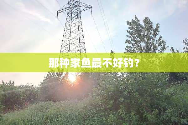 那种家鱼最不好钓？