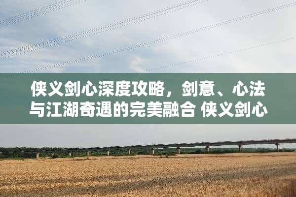 侠义剑心深度攻略，剑意、心法与江湖奇遇的完美融合 侠义剑心攻略