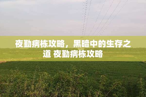 ****攻略，黑暗中的生存之道 ****攻略