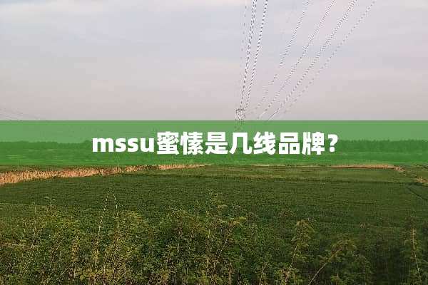 mssu蜜愫是几线品牌？
