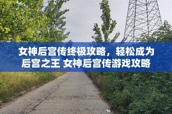 女神后宫传终极攻略，轻松成为后宫之王 女神后宫传游戏攻略
