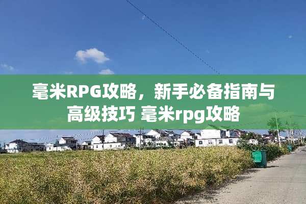 毫米RPG攻略，新手必备指南与高级技巧 毫米rpg攻略