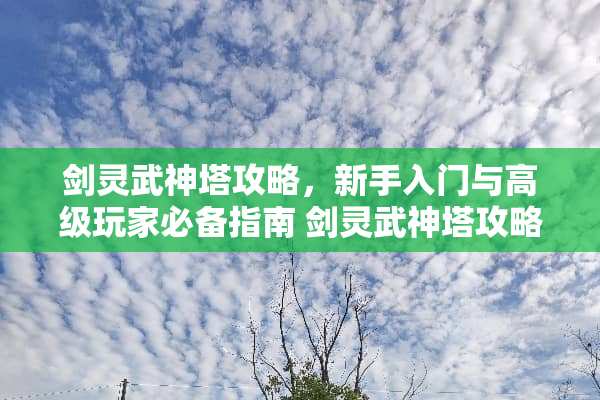 剑灵武神塔攻略，新手入门与高级玩家必备指南 剑灵武神塔攻略