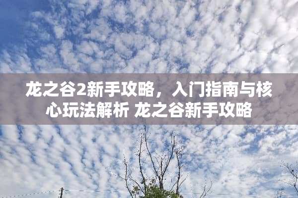 龙之谷2新手攻略，入门指南与核心玩法解析 龙之谷新手攻略