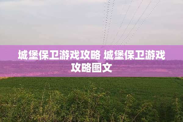 城堡保卫游戏攻略 城堡保卫游戏攻略图文