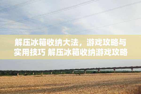 解压冰箱收纳**，游戏攻略与实用技巧 解压冰箱收纳游戏攻略
