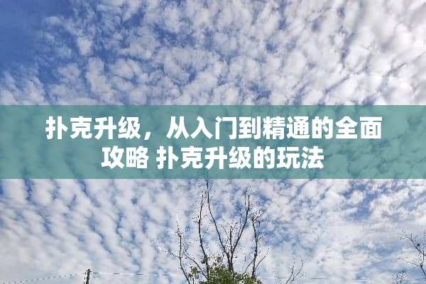 **升级，从入门到精通的全面攻略 **升级的玩法