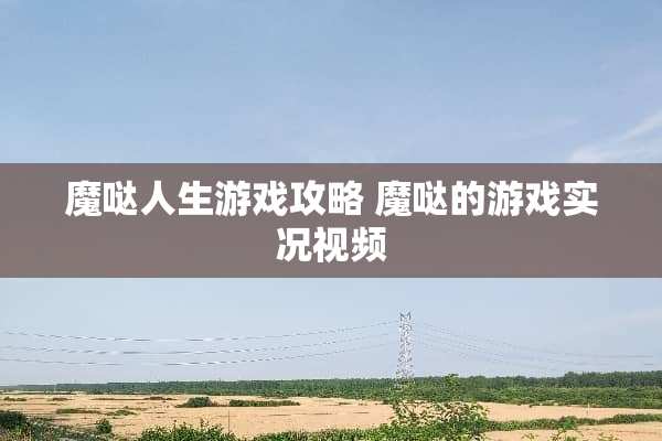 魔哒人生游戏攻略 魔哒的游戏实况视频