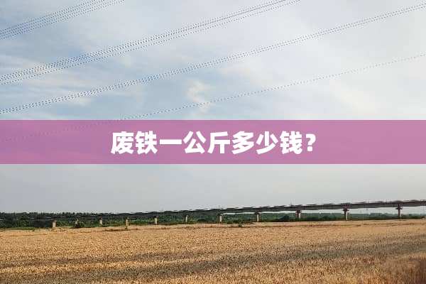 废铁一公斤多少钱？