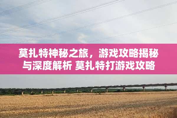 莫扎特神秘之旅，游戏攻略揭秘与深度解析 莫扎特打游戏攻略