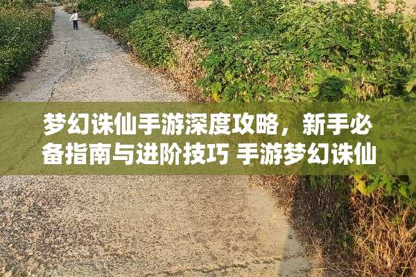 梦幻诛仙手游深度攻略，新手必备指南与进阶技巧 手游梦幻诛仙攻略