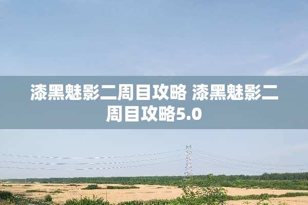 漆黑魅影二周目攻略 漆黑魅影二周目攻略5.0