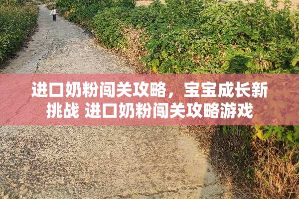 进口奶粉闯关攻略，宝宝成长新挑战 进口奶粉闯关攻略游戏