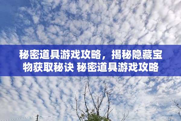 秘密道具游戏攻略，揭秘隐藏宝物获取秘诀 秘密道具游戏攻略