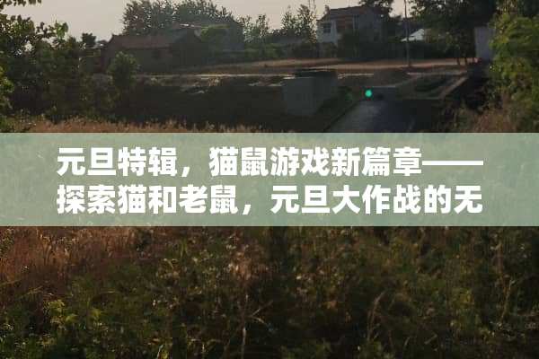 元旦特辑，猫鼠游戏新篇章——探索猫和老鼠，元旦大作战的无限可能 猫和老鼠元旦游戏攻略