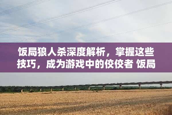饭局狼人杀深度解析，掌握这些技巧，成为游戏中的佼佼者 饭局狼人杀的玩法